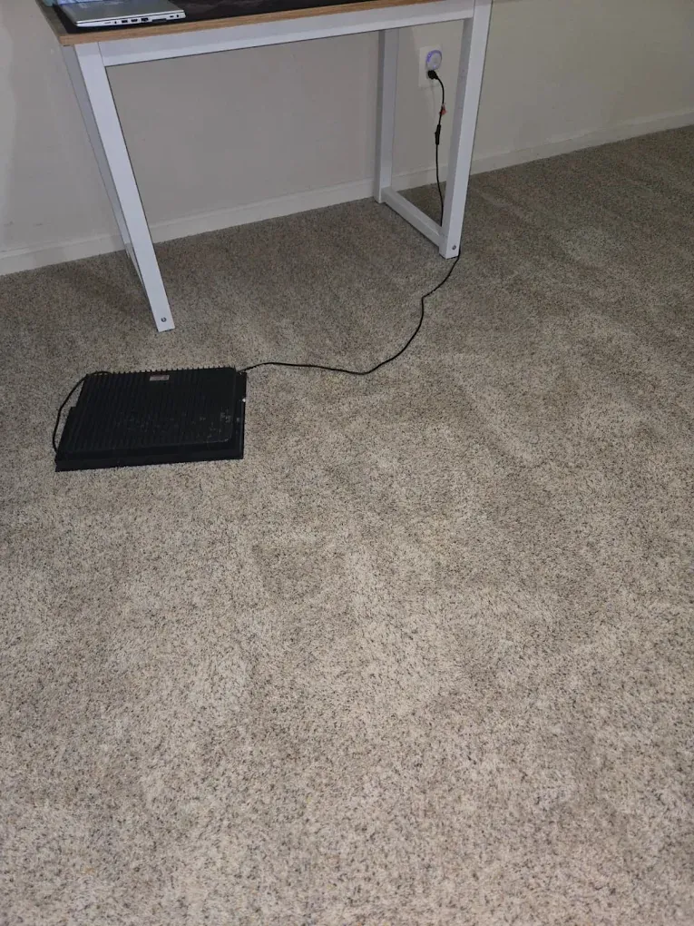 UV light inspection for pet stains on carpet