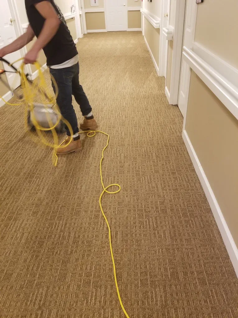 Commercial hallway carpet cleaning in a Rockville building